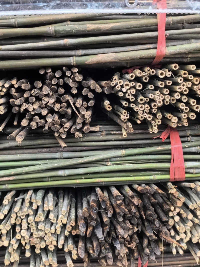 菜架竹豆角架，圣女果，辣椒，茄子，爬苗架杆