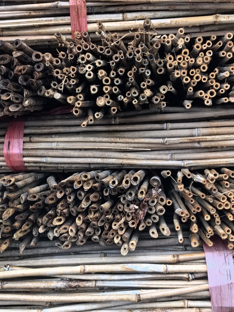 菜架竹豆角架，圣女果，辣椒，茄子，爬苗架杆