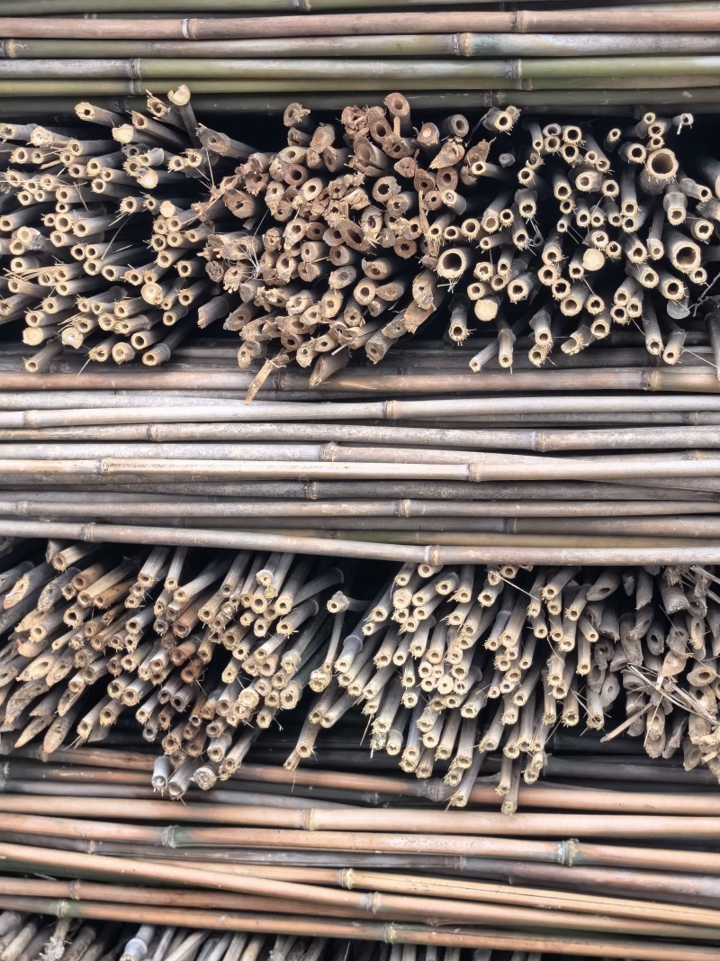 菜架竹豆角架，圣女果，辣椒，茄子，爬苗架杆