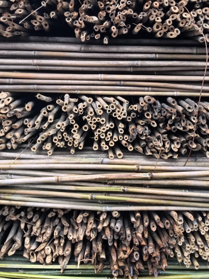 菜架竹豆角架，圣女果，辣椒，茄子，爬苗架杆