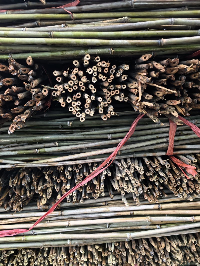菜架竹豆角架，圣女果，辣椒，茄子，爬苗架杆