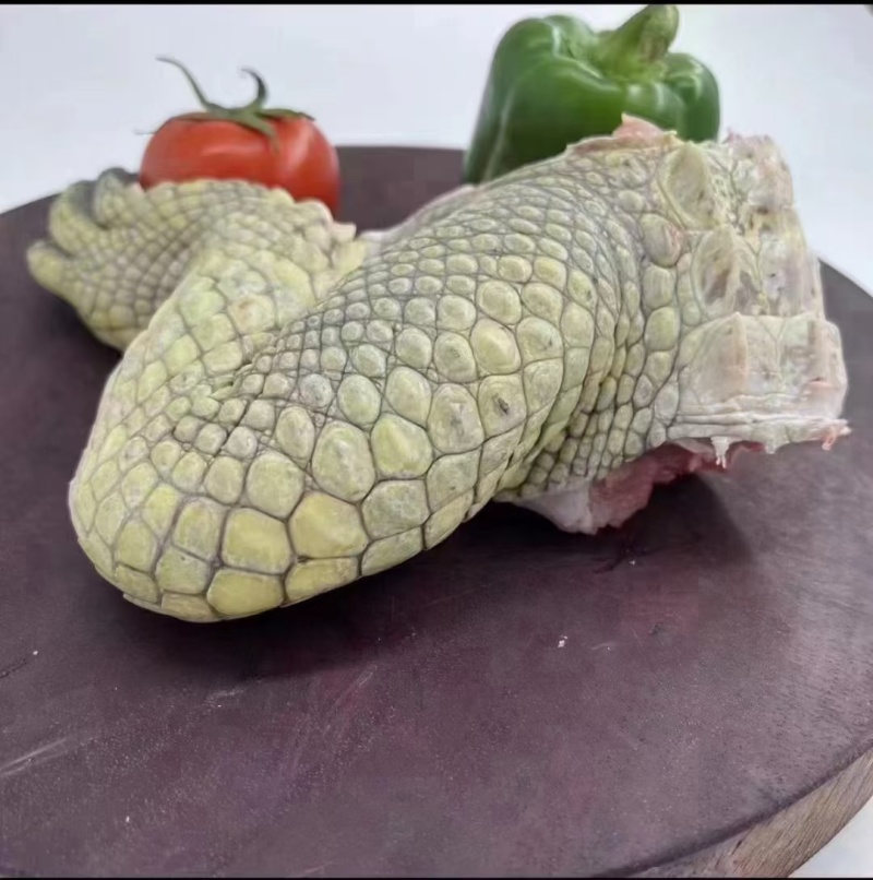 鳄鱼掌