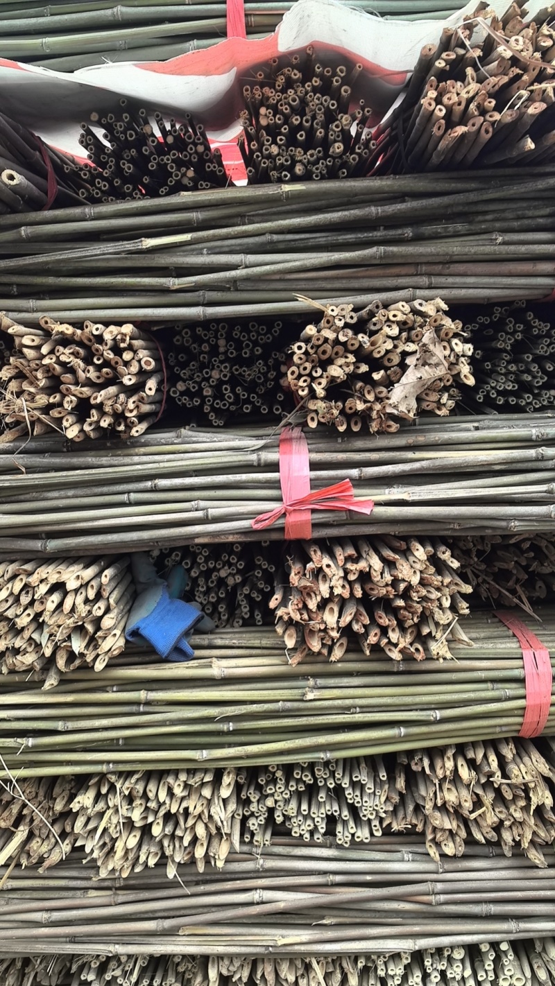 菜架竹豆角架，圣女果，辣椒，茄子，爬苗架杆