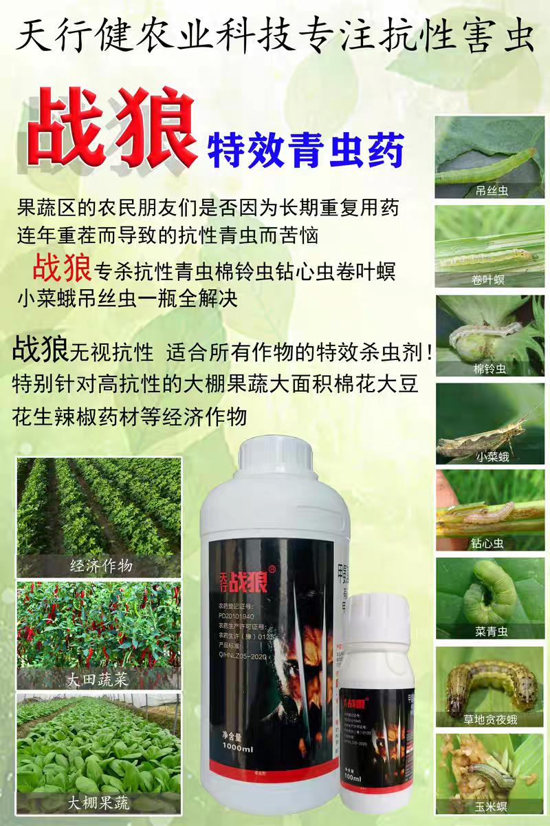 天行战狼吊丝虫蔬菜果树钻心虫青虫四氯虫酰胺农药杀虫剂