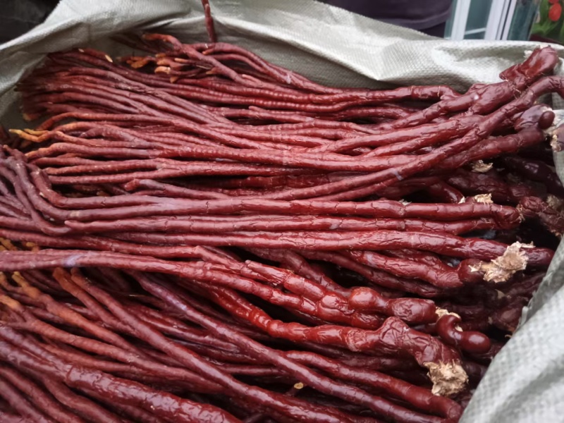 【牛商优选】灵芝草鹿茸菌灵芝冠县灵芝种植基地批发