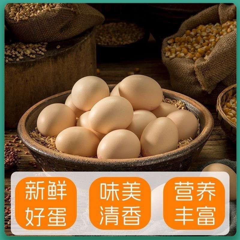【精品】山东新鲜鸡蛋土鸡蛋主要对接各大电商平台一件代发