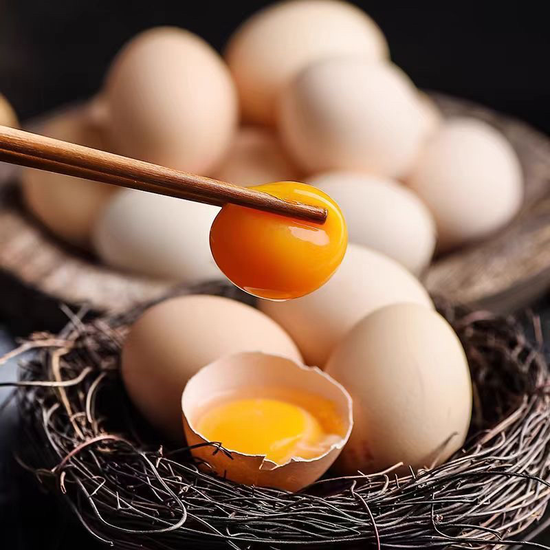 【精品】山东新鲜鸡蛋土鸡蛋主要对接各大电商平台一件代发