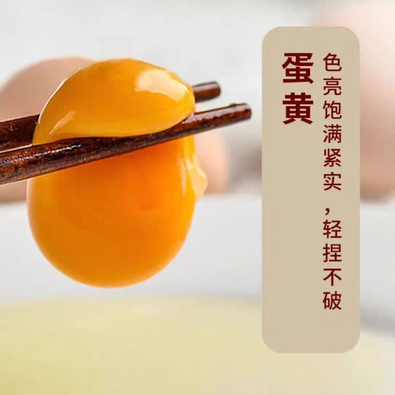【精品】山东新鲜鸡蛋土鸡蛋主要对接各大电商平台一件代发
