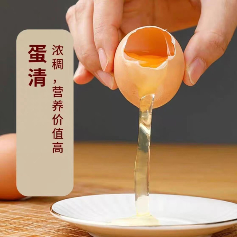 【精品】山东新鲜鸡蛋土鸡蛋主要对接各大电商平台一件代发