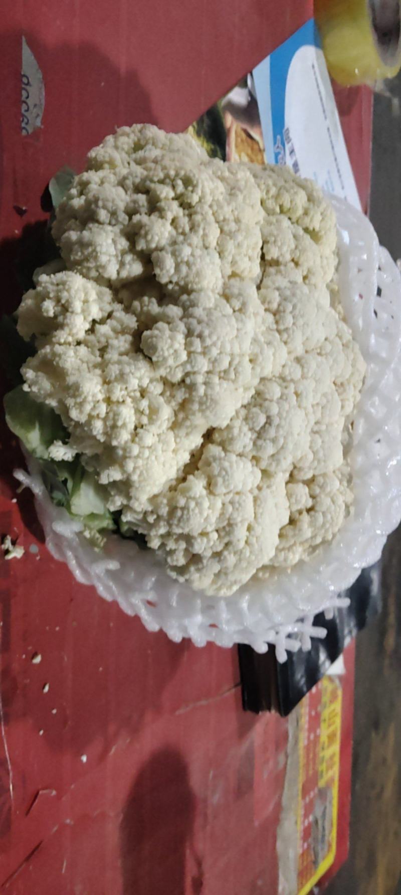 三原县精品松花菜大量上市