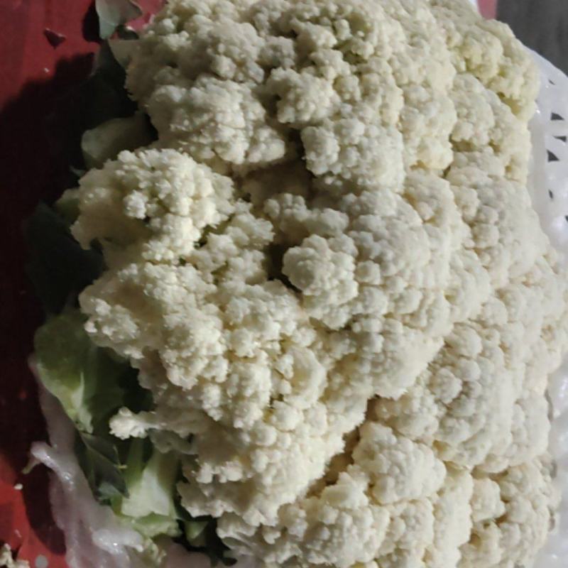 三原县精品松花菜大量上市