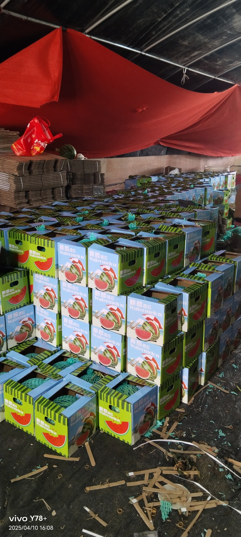 美都麒麟瓜芒市出货，八成半熟保底，诚信经营，量大从优