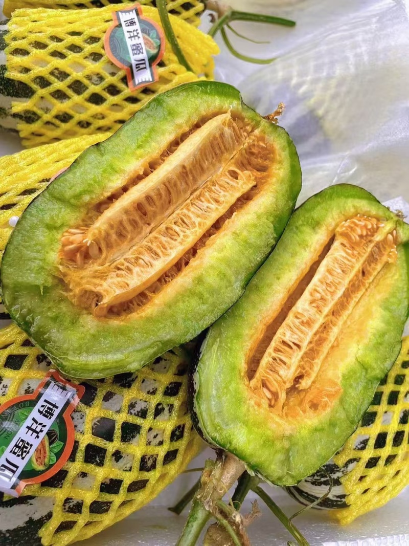 单县博洋9号大量上市，欢迎市场电商来电咨询。