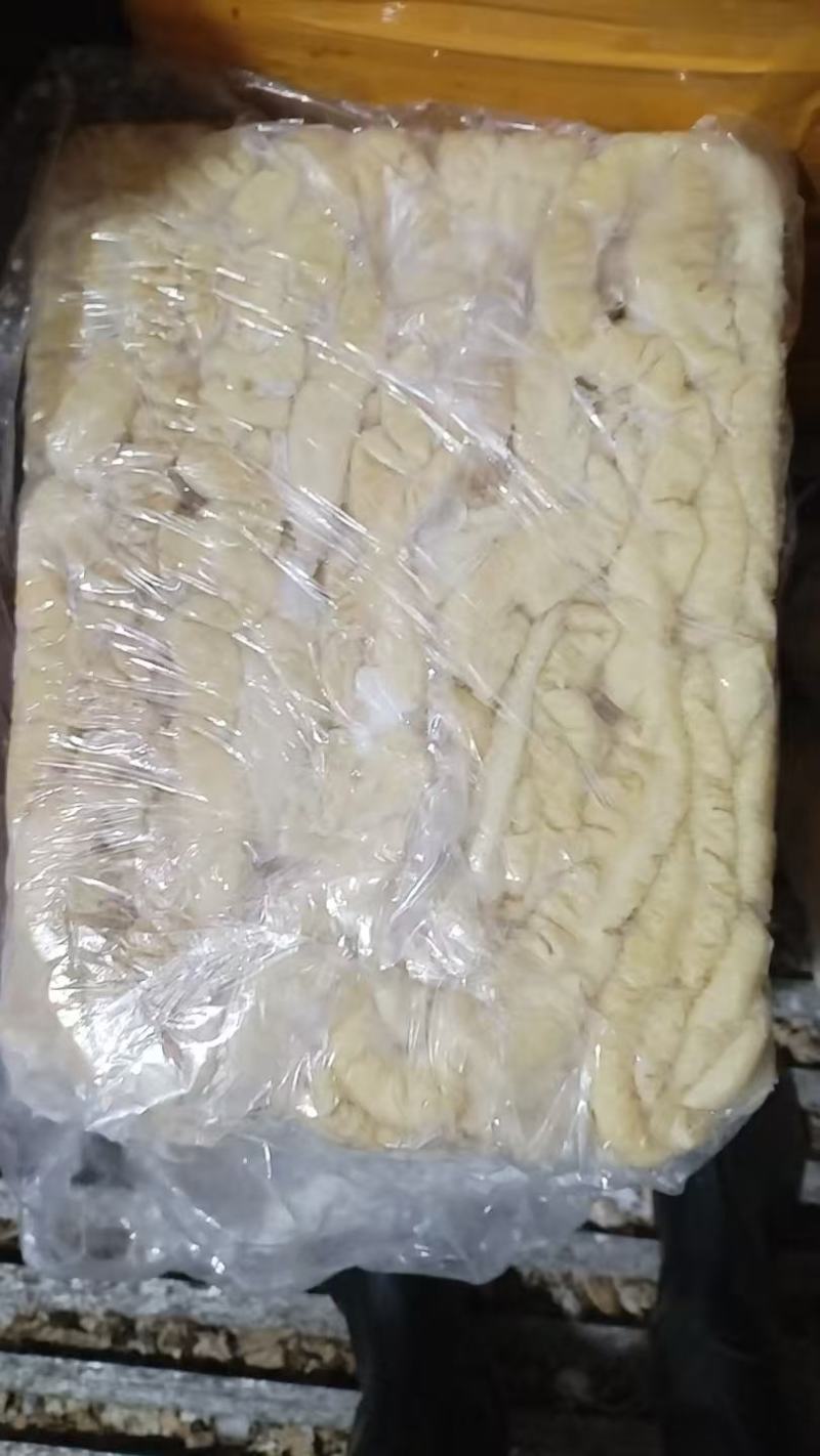 精品猪大肠，大量供应，新鲜发货，量大从优欢迎咨询