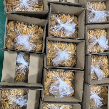 芒果干一级片