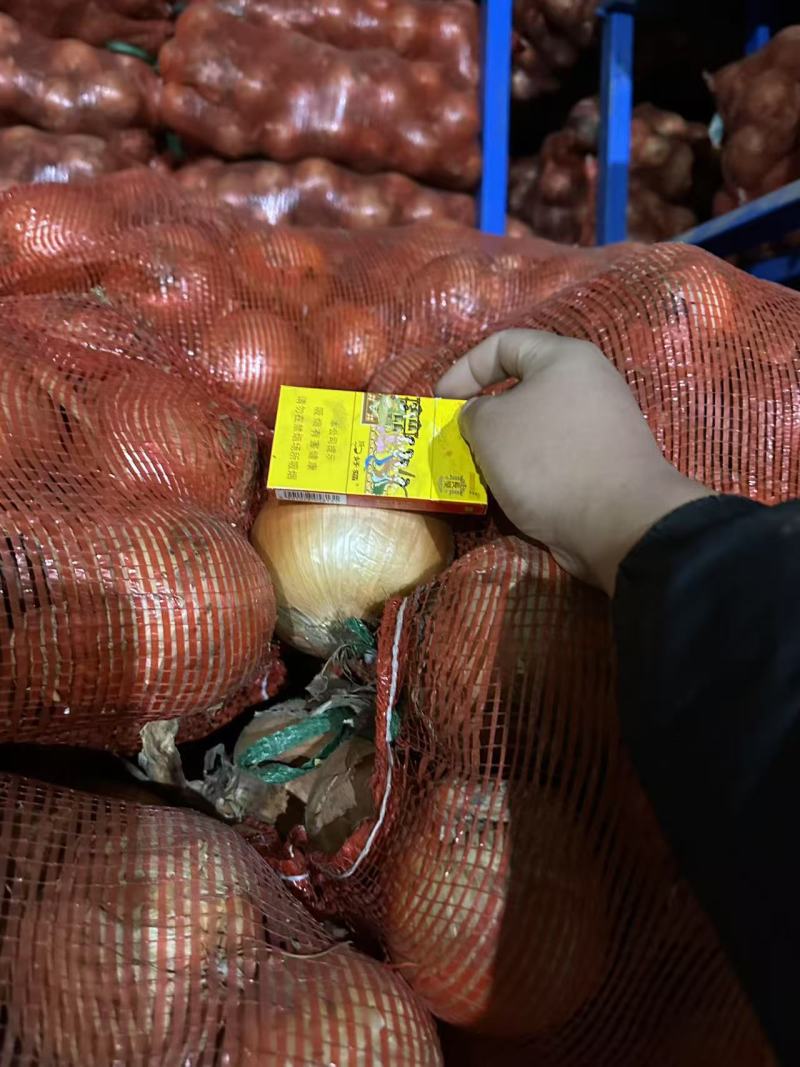 精品扒皮黄洋葱大量现货对接全国各批发市场加工厂