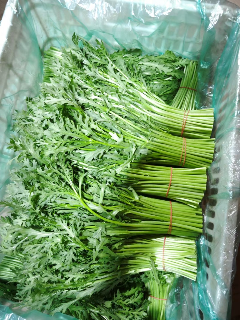 茼蒿
