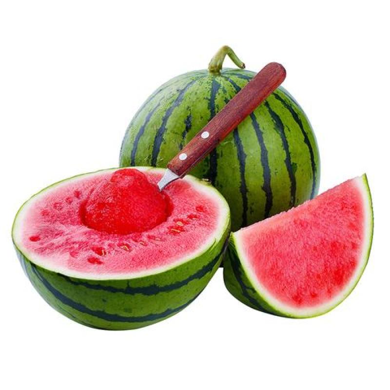 精品8424西瓜基地直供，质量保证！规格齐全！