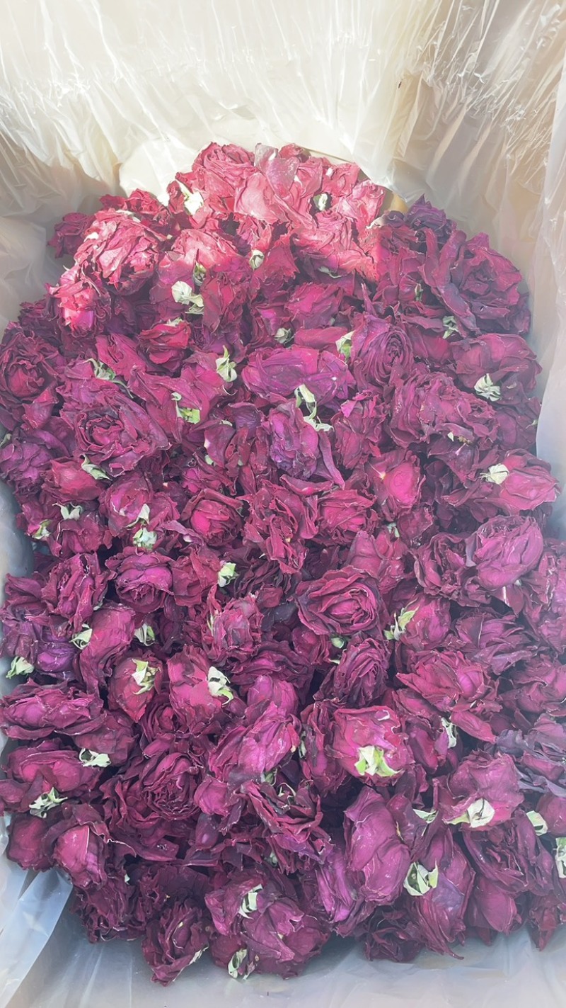 云南冻干墨红玫瑰价格优惠大货批发