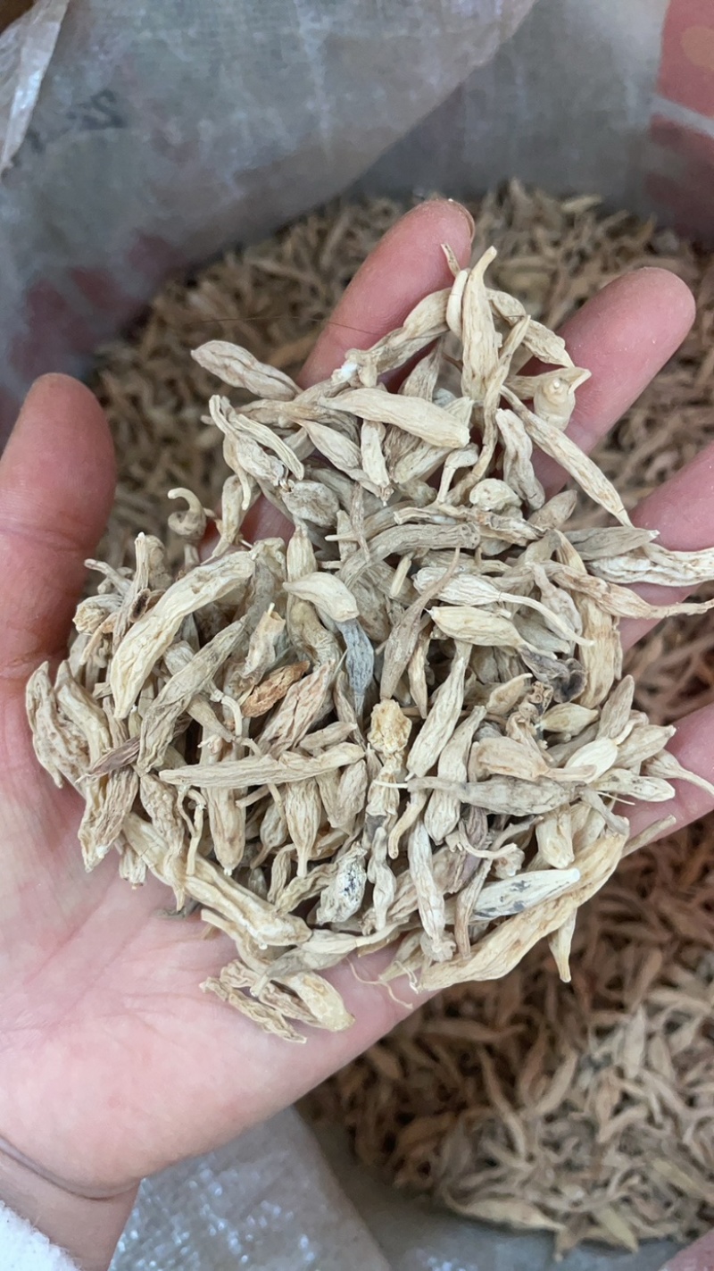 云南野外麦冬大货批发野外生长的麦冬