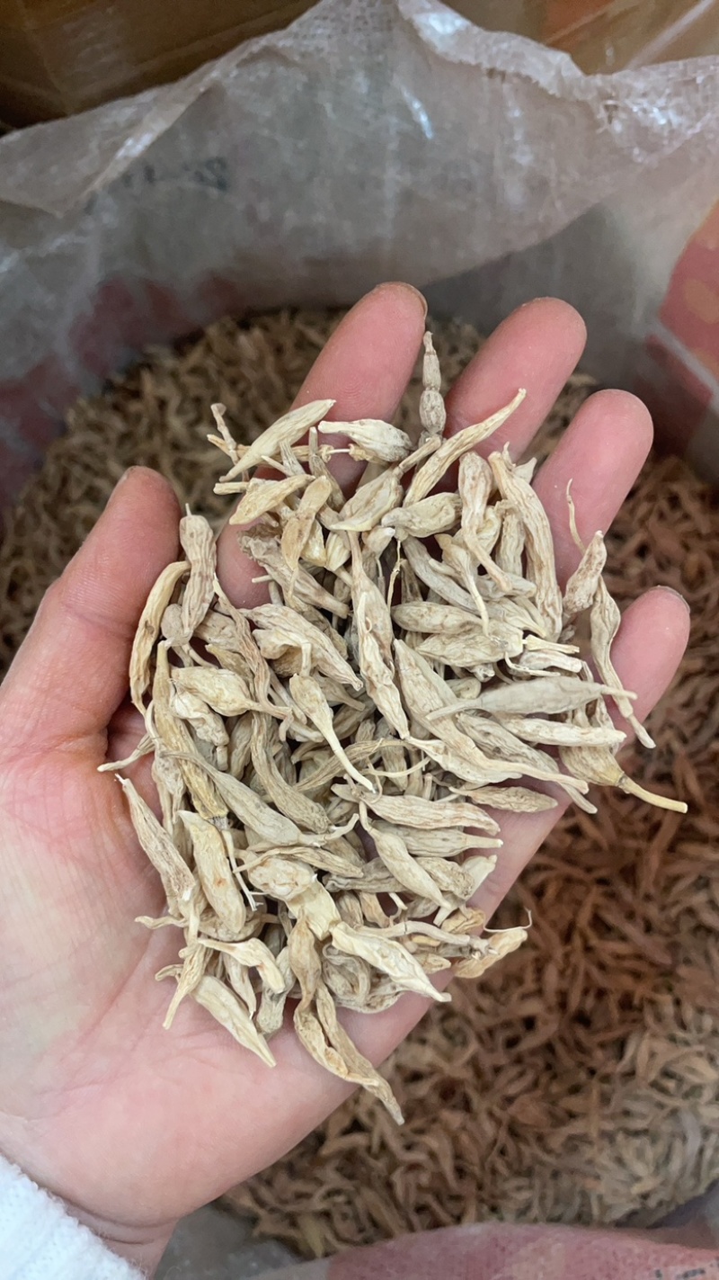 云南野外麦冬大货批发野外生长的麦冬