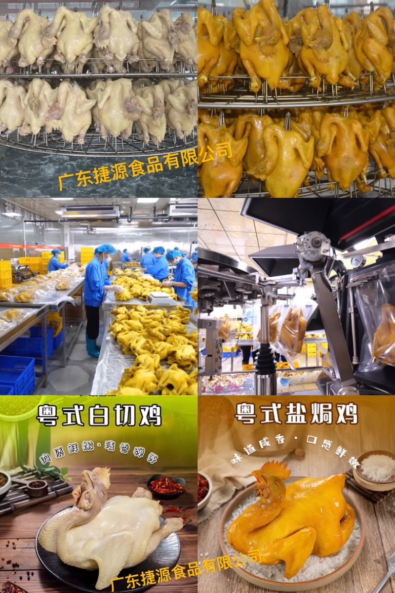 广东捷源盐焗鸡（散养走地鸡）