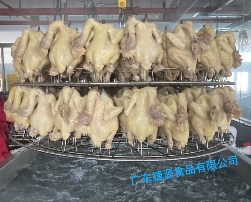 广东捷源白切鸡（散养走地鸡）