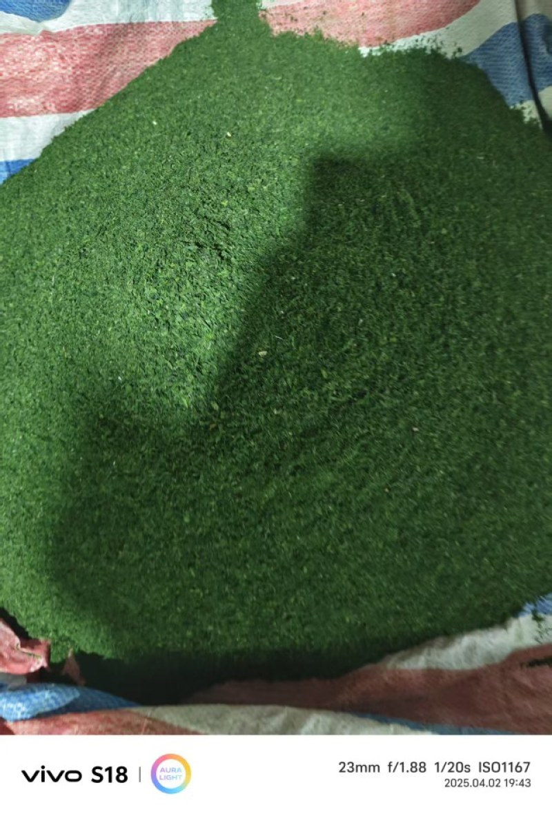 三门伟锦水产，精品海苔海苔粉，大量现货可电商，可厂家批发