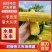 [精品]当季脆甜，货源充足，欢迎致电