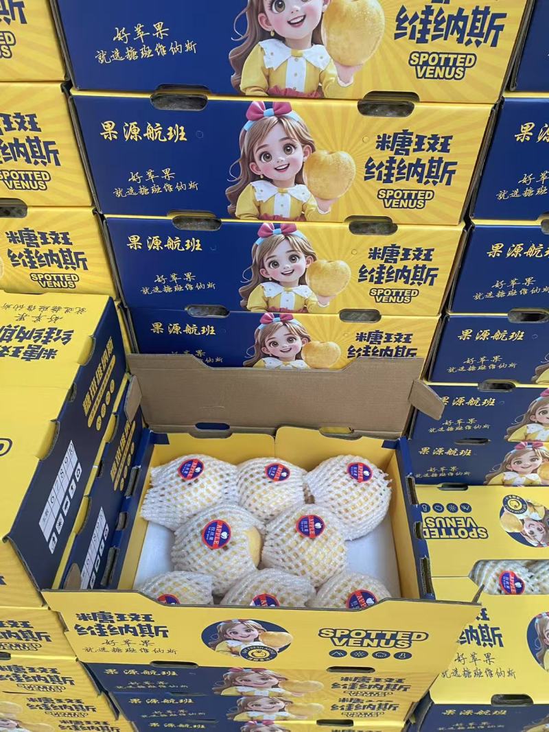山东维纳斯苹果大量上市纯甜无酸，电商，商超，市场全国发货