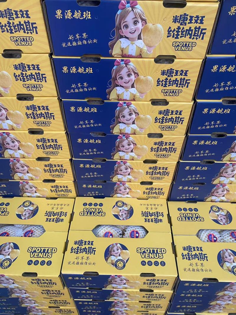 山东维纳斯苹果大量上市纯甜无酸，电商，商超，市场全国发货
