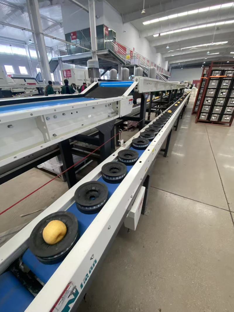 山东维纳斯苹果大量上市纯甜无酸，电商，商超，市场全国发货