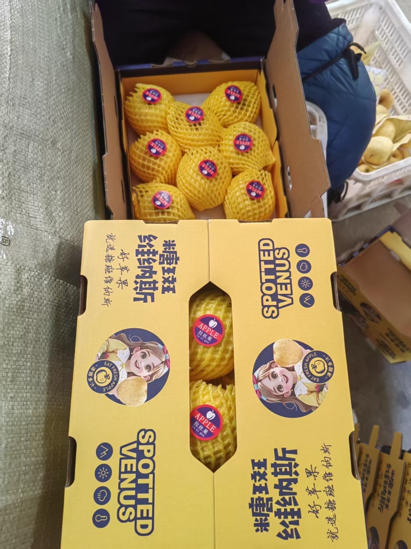 山东维纳斯苹果大量上市纯甜无酸，电商，商超，市场全国发货