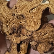 二年炒白术麦麸炒白术片白术个子生白术中药材产地批发