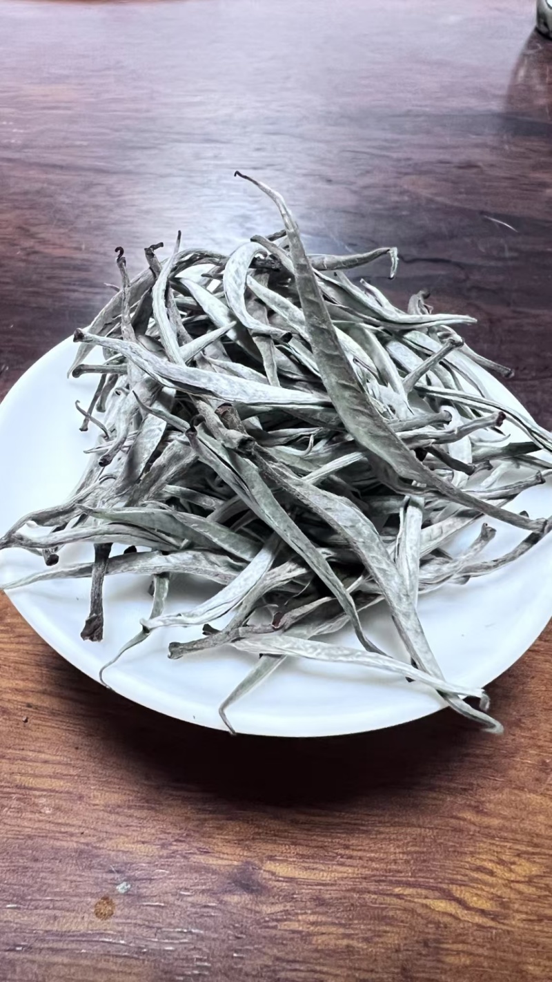 大树茶古树茶