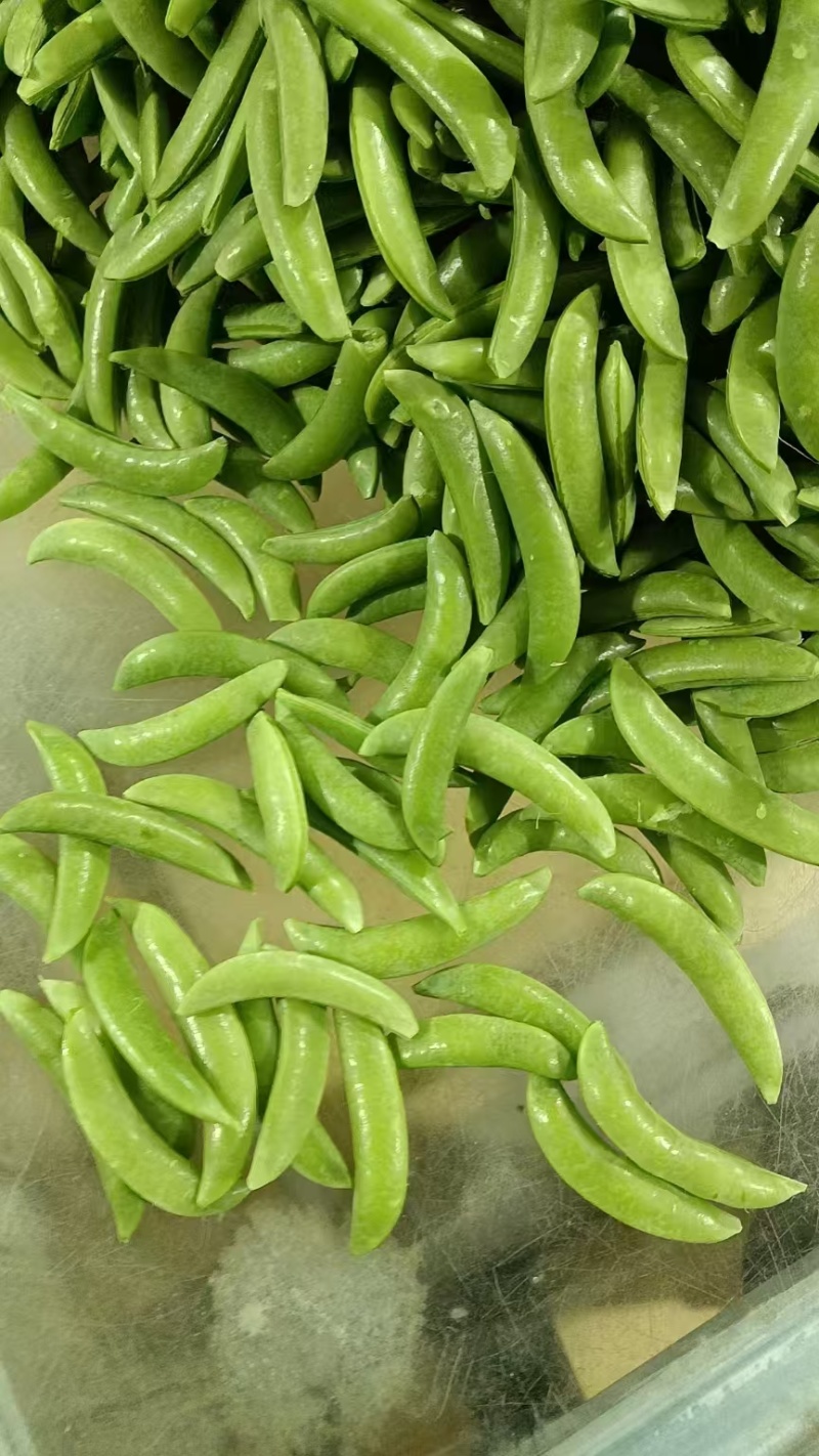 甜豌豆，甜豆