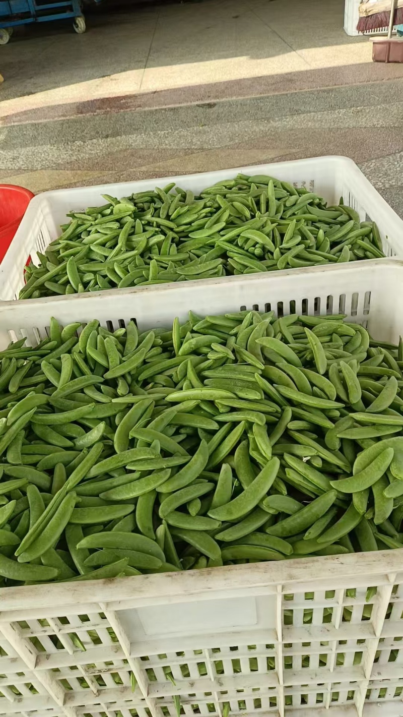 甜豌豆，甜豆