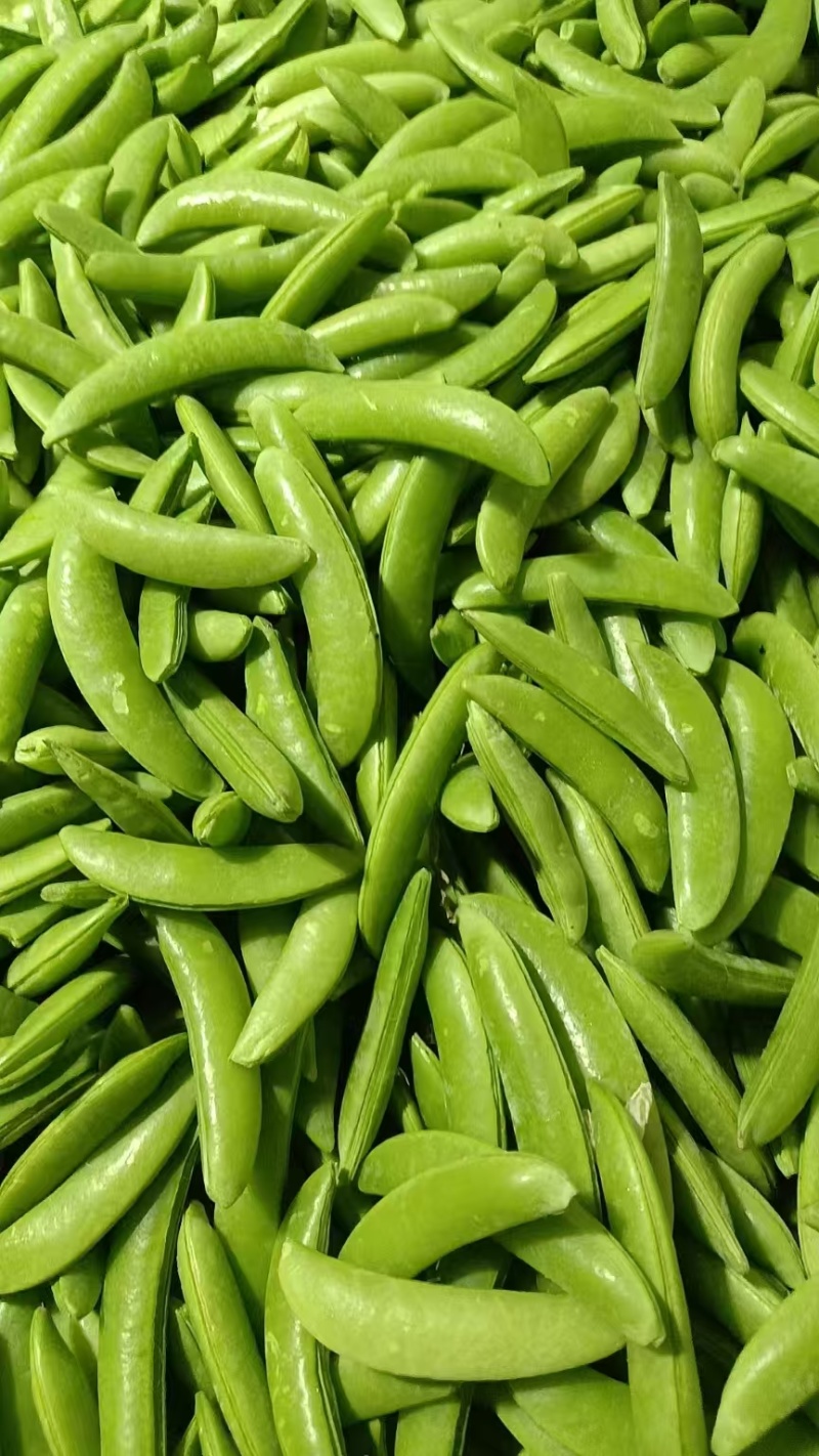 甜豌豆，甜豆