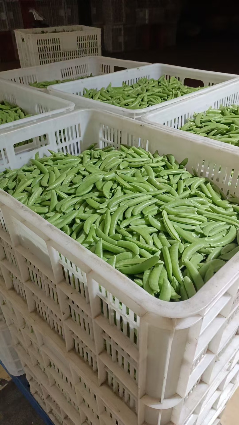 甜豌豆，甜豆