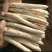 白芦笋当天采收当天发货笋质鲜嫩营养丰富量大从优