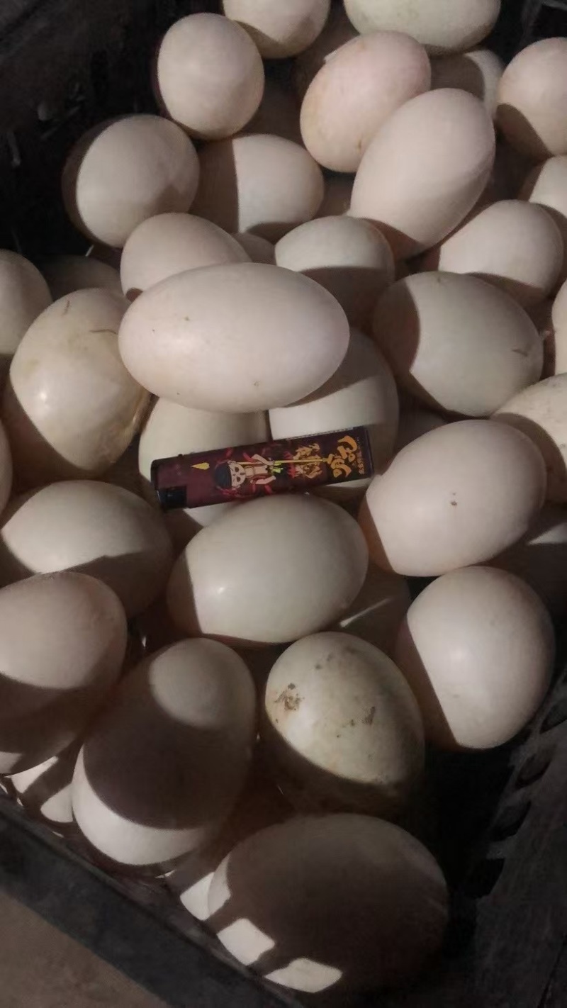 双黄白皮鸭蛋，个个干净，适合电商，高端。