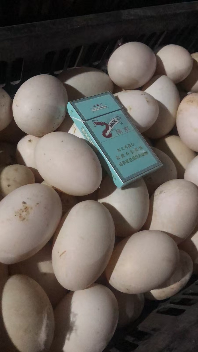 双黄白皮鸭蛋，个个干净，适合电商，高端。
