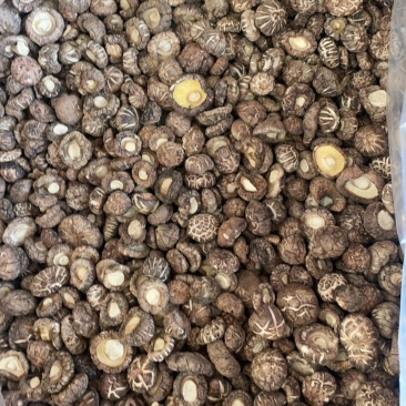 花菇肉厚一手货源大货批发