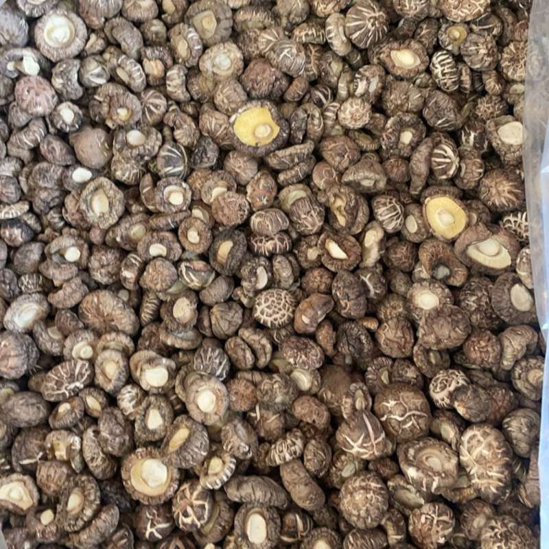 花菇肉厚一手货源大货批发