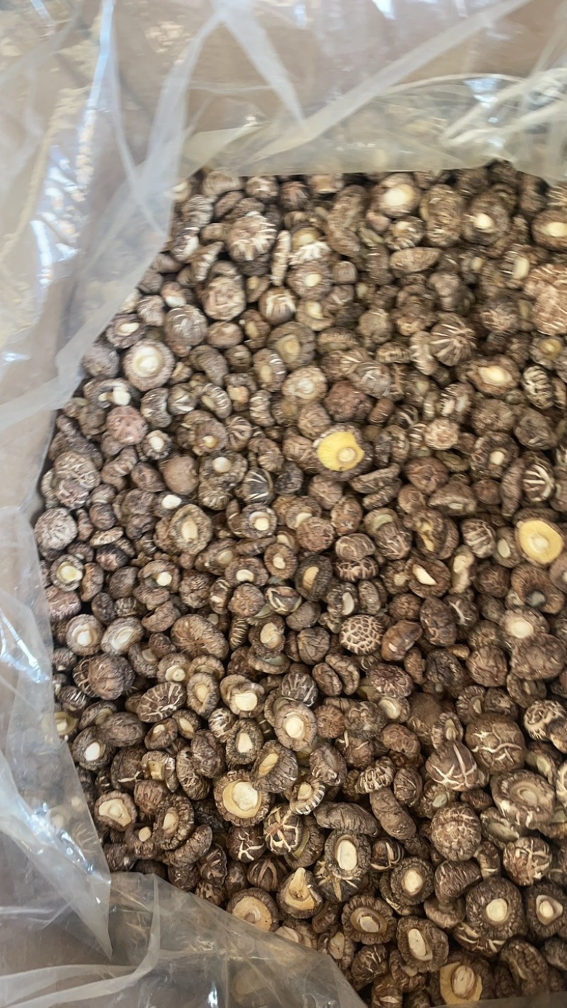 花菇肉厚一手货源大货批发