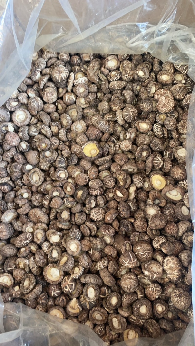 花菇肉厚一手货源大货批发