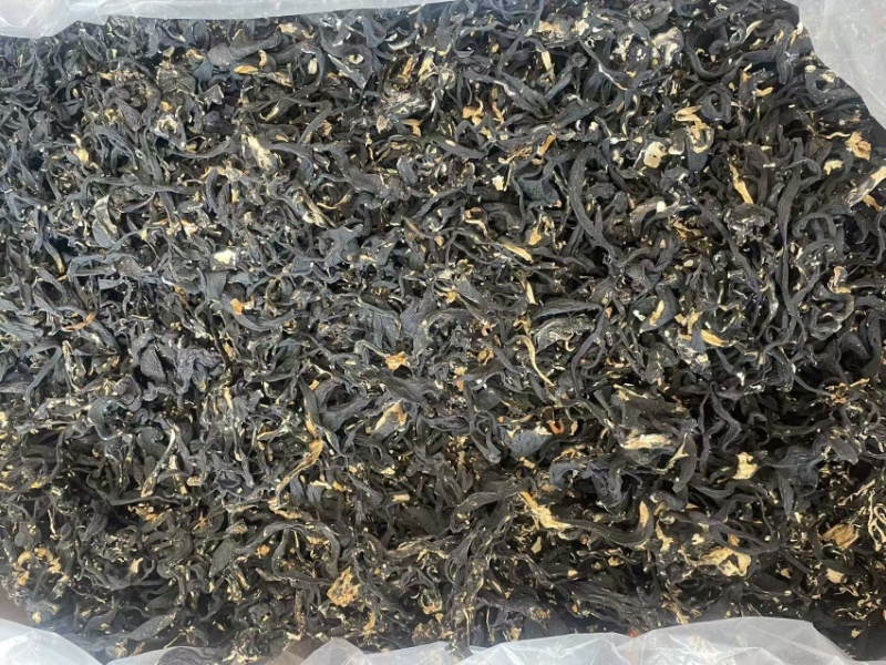 乌灵参根大货批发一手货源