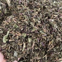 薄荷