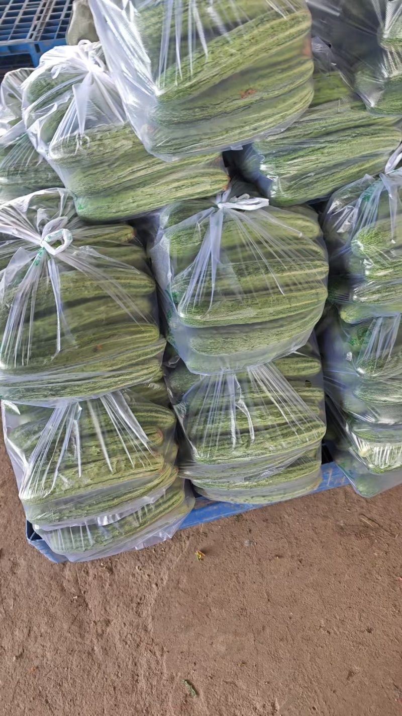 湖北枝江旱黄瓜，一手货源，快递代发，供应电商