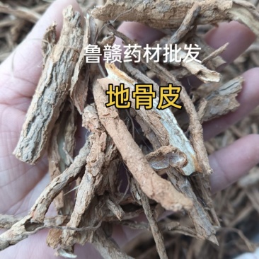 地骨皮1斤起批批发各种中药材量大优惠